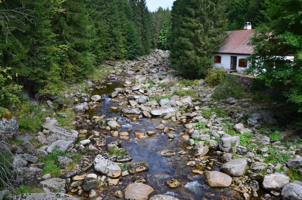 Chata - Sport - Ski Kořenov Zewnętrze zdjęcie